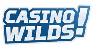 Casino Wilds logo
