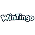 WinTingo logo 120 pixels