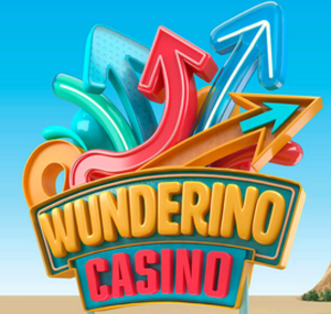 wunderinologo300x300