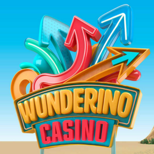 wunderinologo300x300